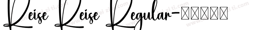 Reise Reise Regular字体转换